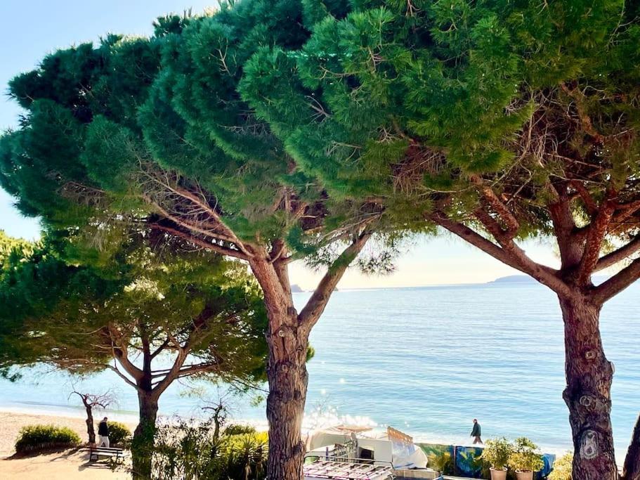 Appartement Les Pieds Dans L'Eau A Cavaliere Le Lavandou Dış mekan fotoğraf