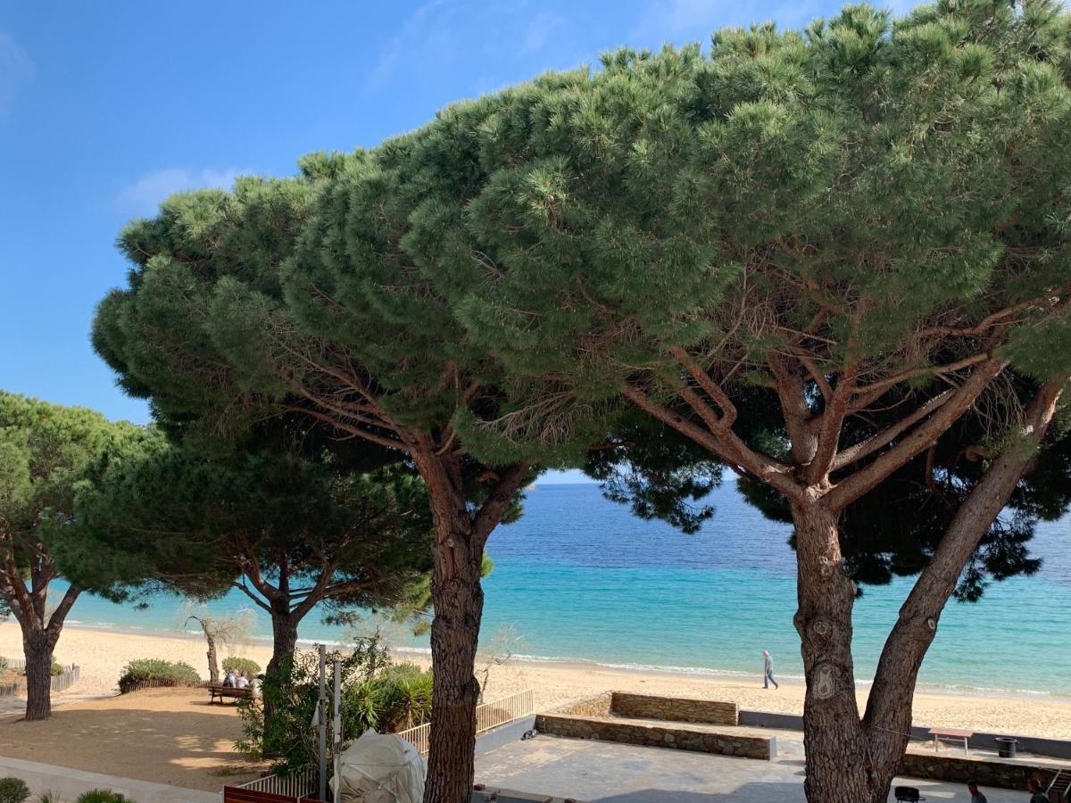 Appartement Les Pieds Dans L'Eau A Cavaliere Le Lavandou Dış mekan fotoğraf